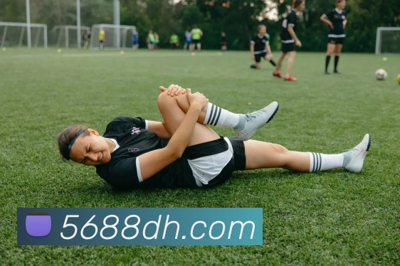 开云官网平台生态图