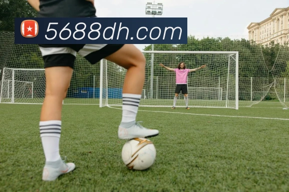 开云官网全站App